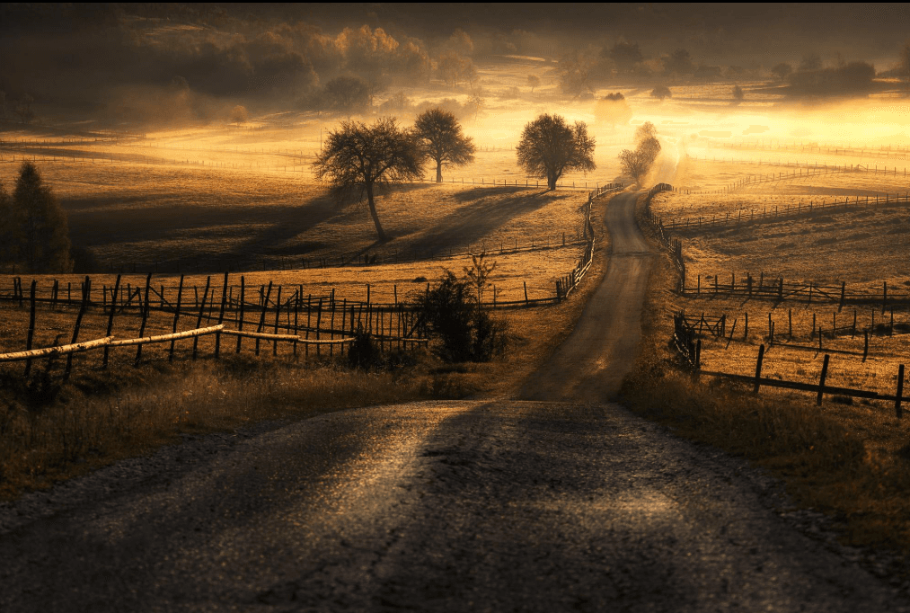 Cinematic rural landscape at dawn